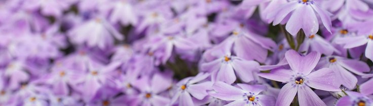 blog 3