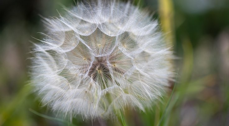 blog 5